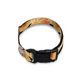 Apricot Fruit Striped Pattern Print Dog Collar