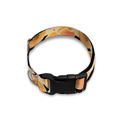 Apricot Fruit Striped Pattern Print Dog Collar