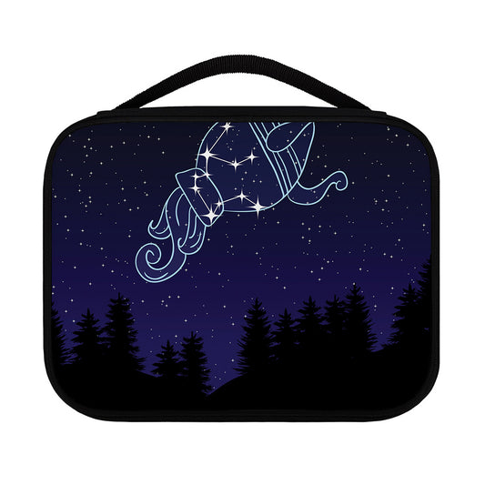 Aquarius Constellation Print Classic Bible Case