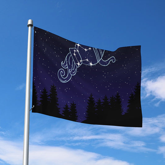 Aquarius Constellation Print Polyester Flag