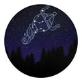 Aquarius Constellation Print Round Blanket