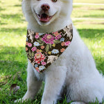 Asian Crane Bird Pattern Print Over The Collar Dog Bandana