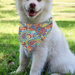 Asian Paisley Pattern Print Over The Collar Dog Bandana