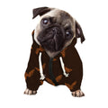 Asian Phoenix Pattern Print Dog Zip Up Hoodie