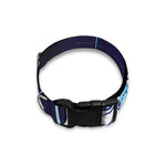 Astrological Scorpio Sign Print Dog Collar