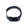 Astrology Pisces Sign Print Dog Collar