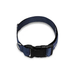 Astrology Pisces Sign Print Dog Collar