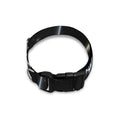 Astrology Scorpio Sign Print Dog Collar