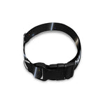Astrology Scorpio Sign Print Dog Collar