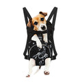 Astrology Scorpio Sign Print Pet Carrier Backpack