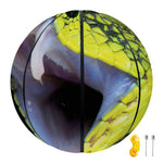 Atheris Nitschei Snake Print Basketball