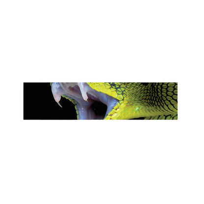 Atheris Nitschei Snake Print Bed Runner