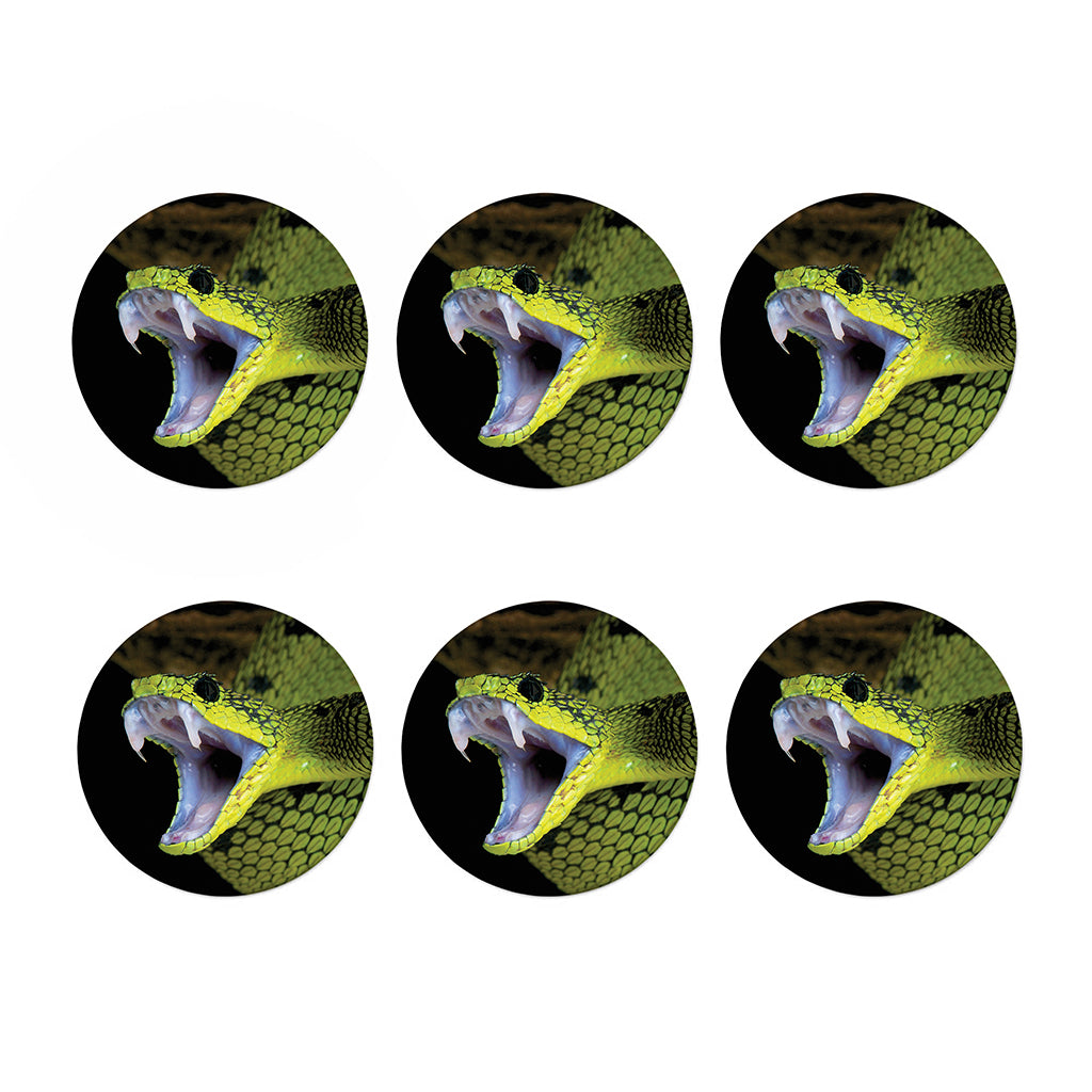 Atheris Nitschei Snake Print Coaster Set