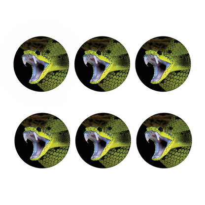 Atheris Nitschei Snake Print Coaster Set