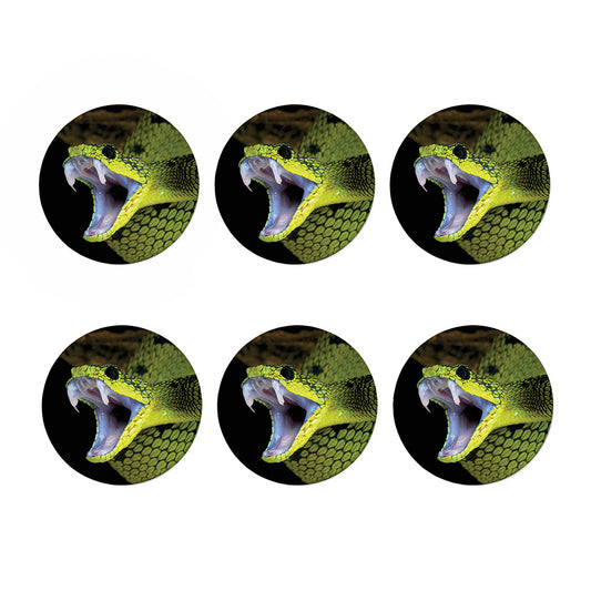 Atheris Nitschei Snake Print Coaster Set