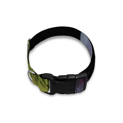Atheris Nitschei Snake Print Dog Collar