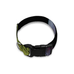 Atheris Nitschei Snake Print Dog Collar