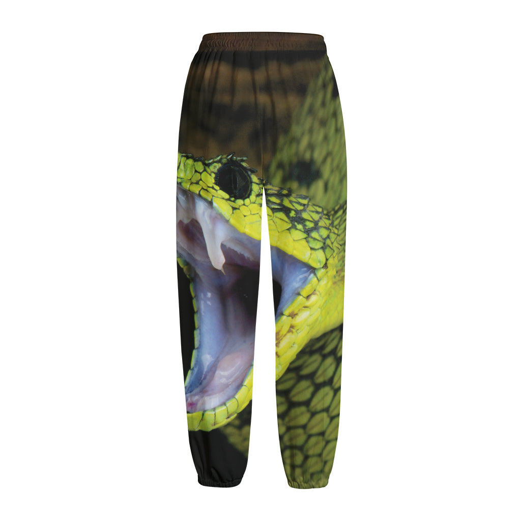 Atheris Nitschei Snake Print Fleece Lined Knit Pants