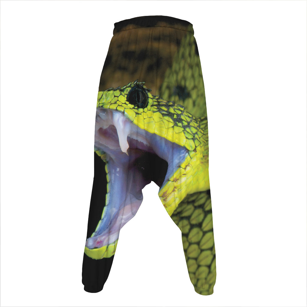 Atheris Nitschei Snake Print Hammer Pants