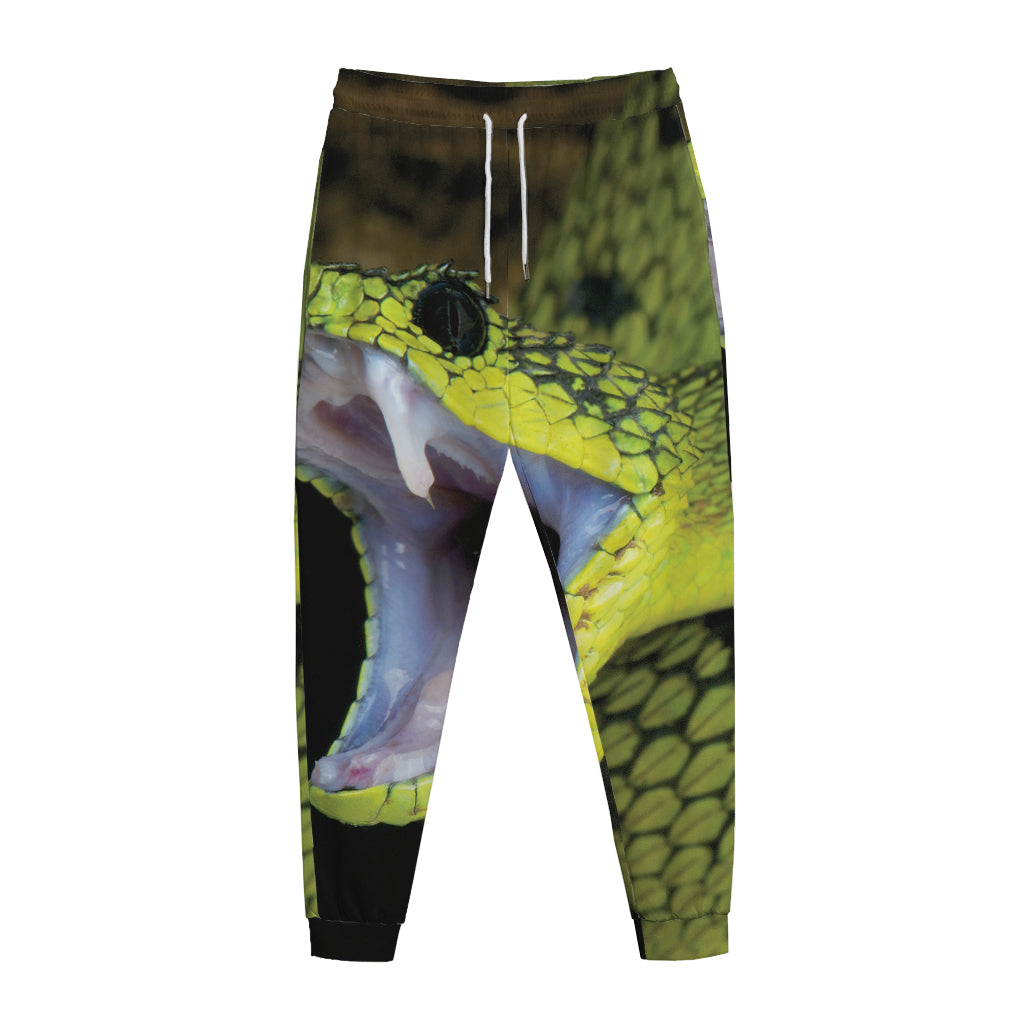 Atheris Nitschei Snake Print Jogger Pants