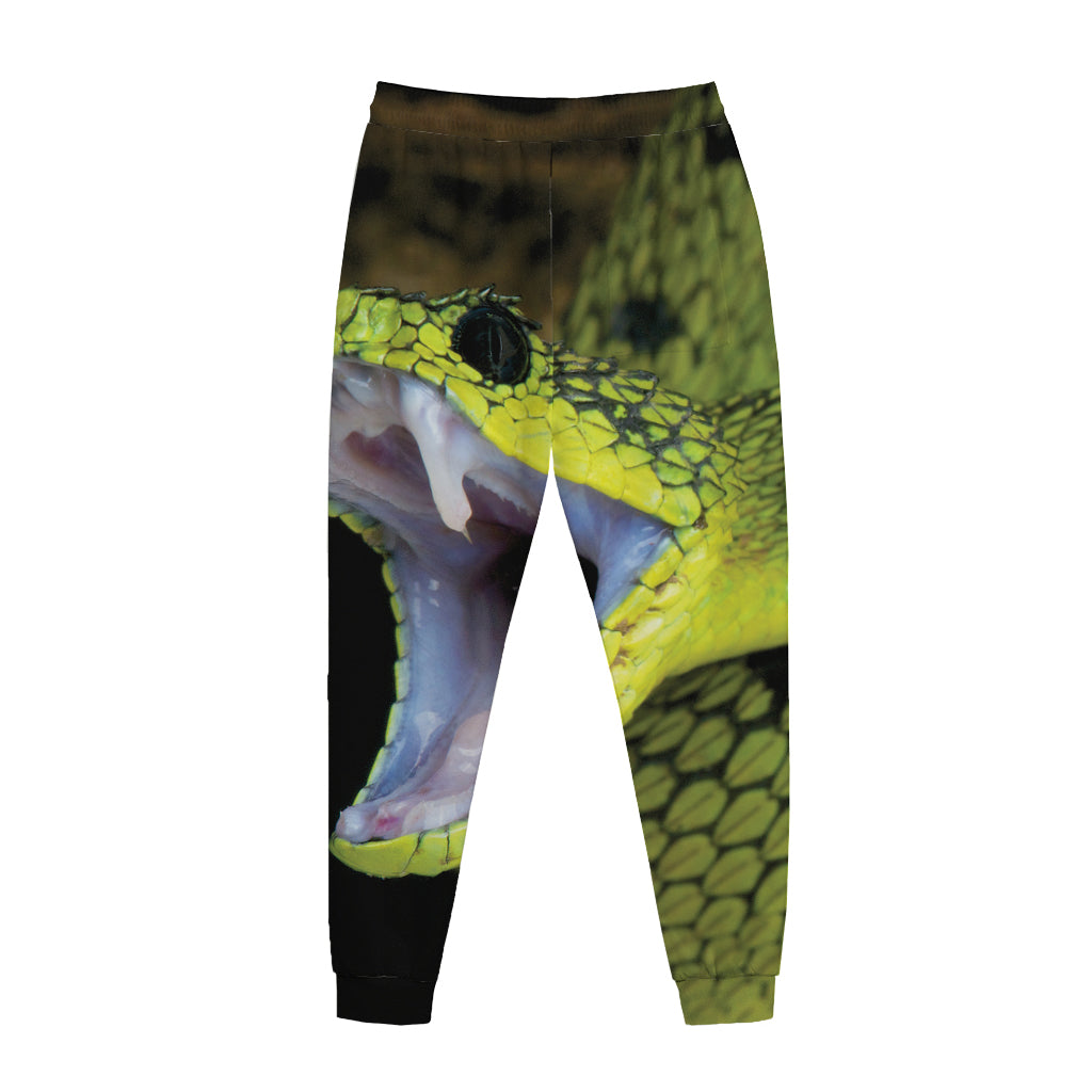 Atheris Nitschei Snake Print Jogger Pants