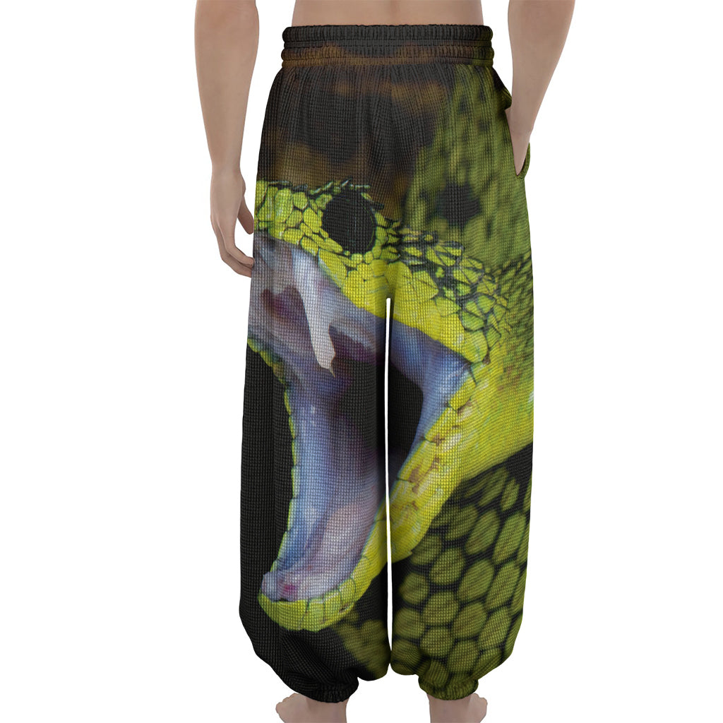 Atheris Nitschei Snake Print Lantern Pants