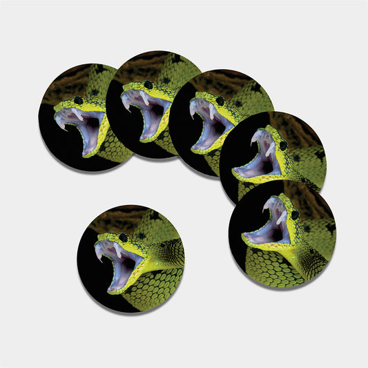 Atheris Nitschei Snake Print Leather Coaster Set