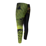 Atheris Nitschei Snake Print Men's Compression Pants