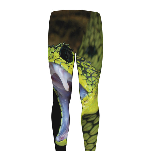 Atheris Nitschei Snake Print Men's leggings