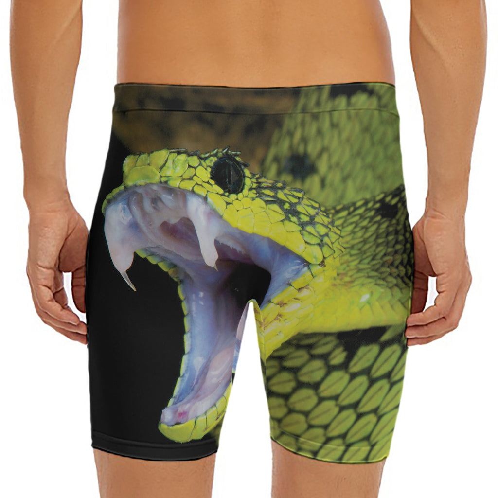 Atheris Nitschei Snake Print Men's Long Boxer Briefs
