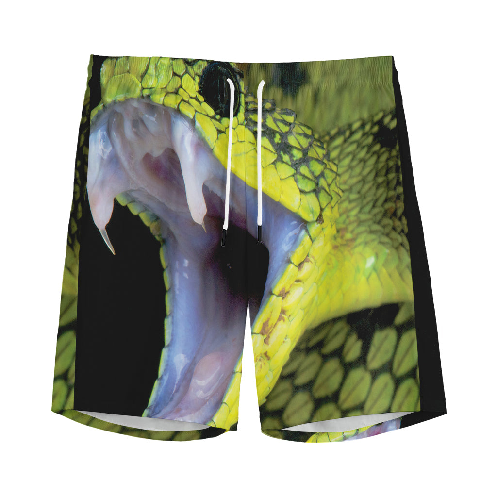 Atheris Nitschei Snake Print Men's Sports Shorts