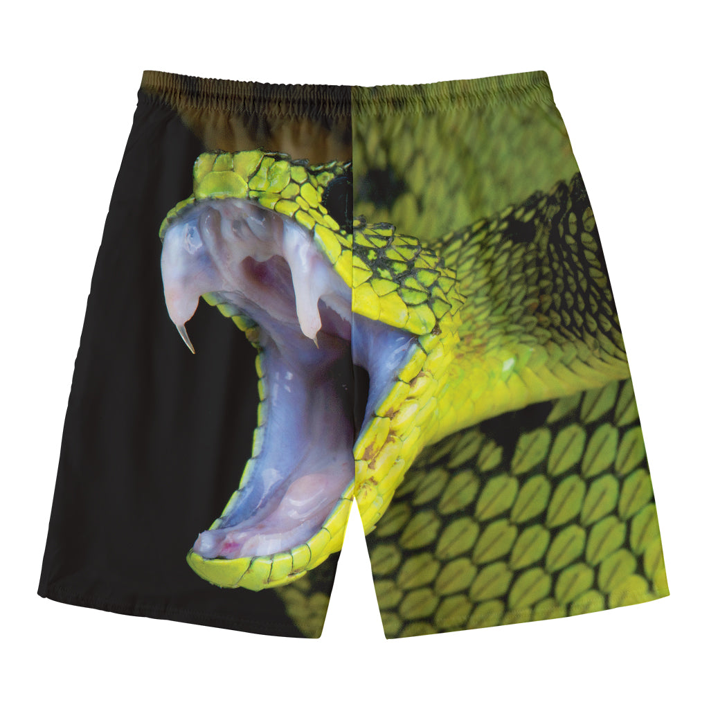 Atheris Nitschei Snake Print Men's Swim Trunks