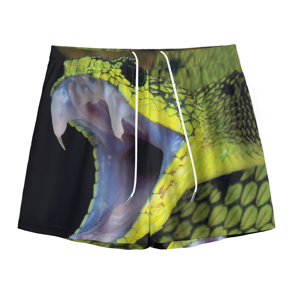 Atheris Nitschei Snake Print Mesh Shorts