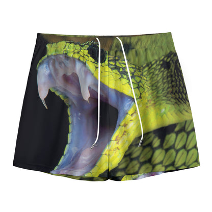 Atheris Nitschei Snake Print Mesh Shorts