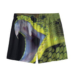 Atheris Nitschei Snake Print Mesh Shorts