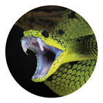 Atheris Nitschei Snake Print Round Blanket