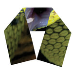 Atheris Nitschei Snake Print Scarf