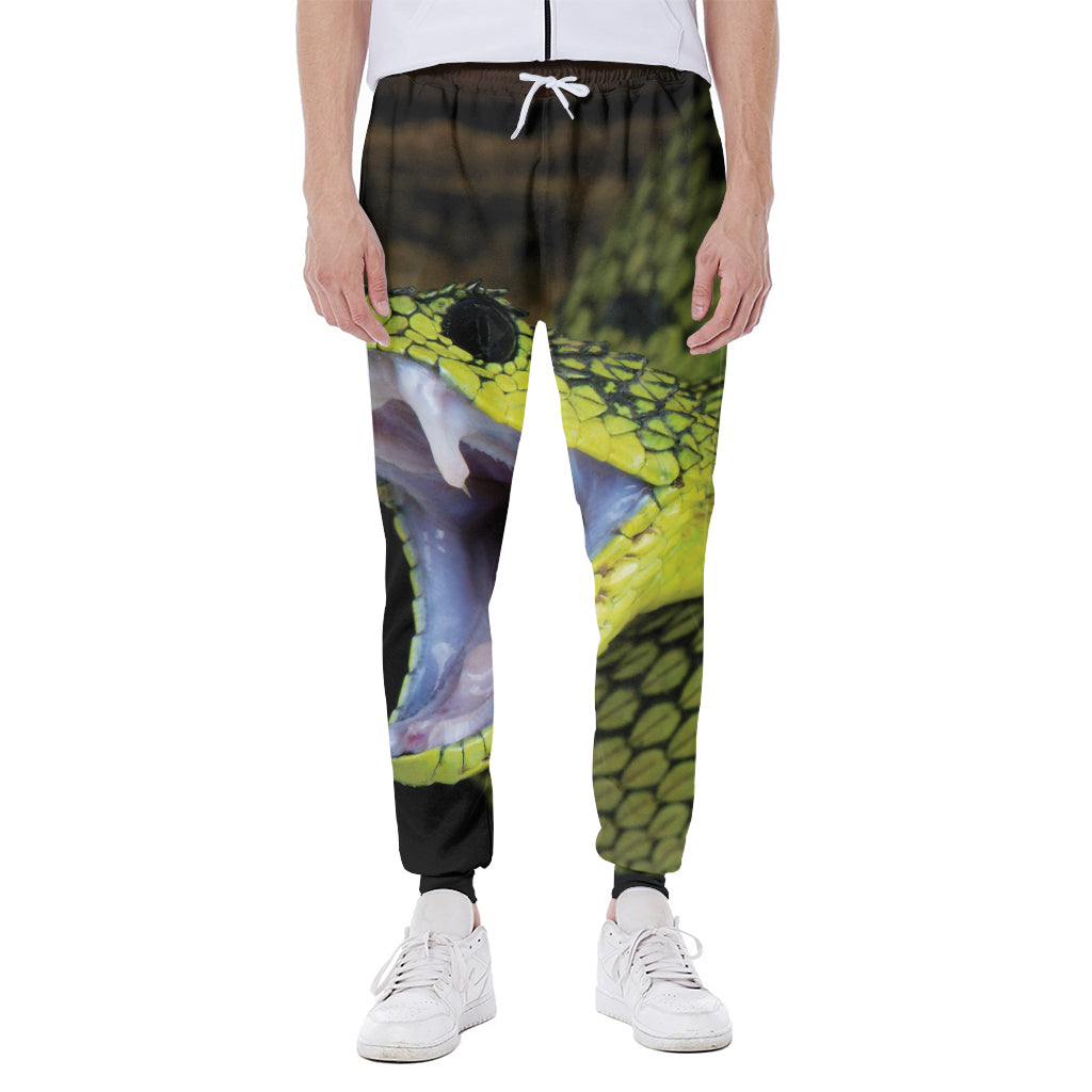 Atheris Nitschei Snake Print Scuba Joggers