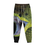 Atheris Nitschei Snake Print Sweatpants