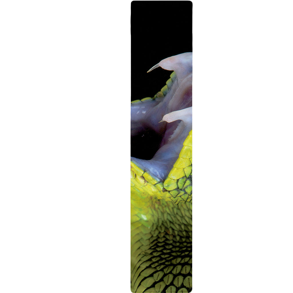 Atheris Nitschei Snake Print Table Runner