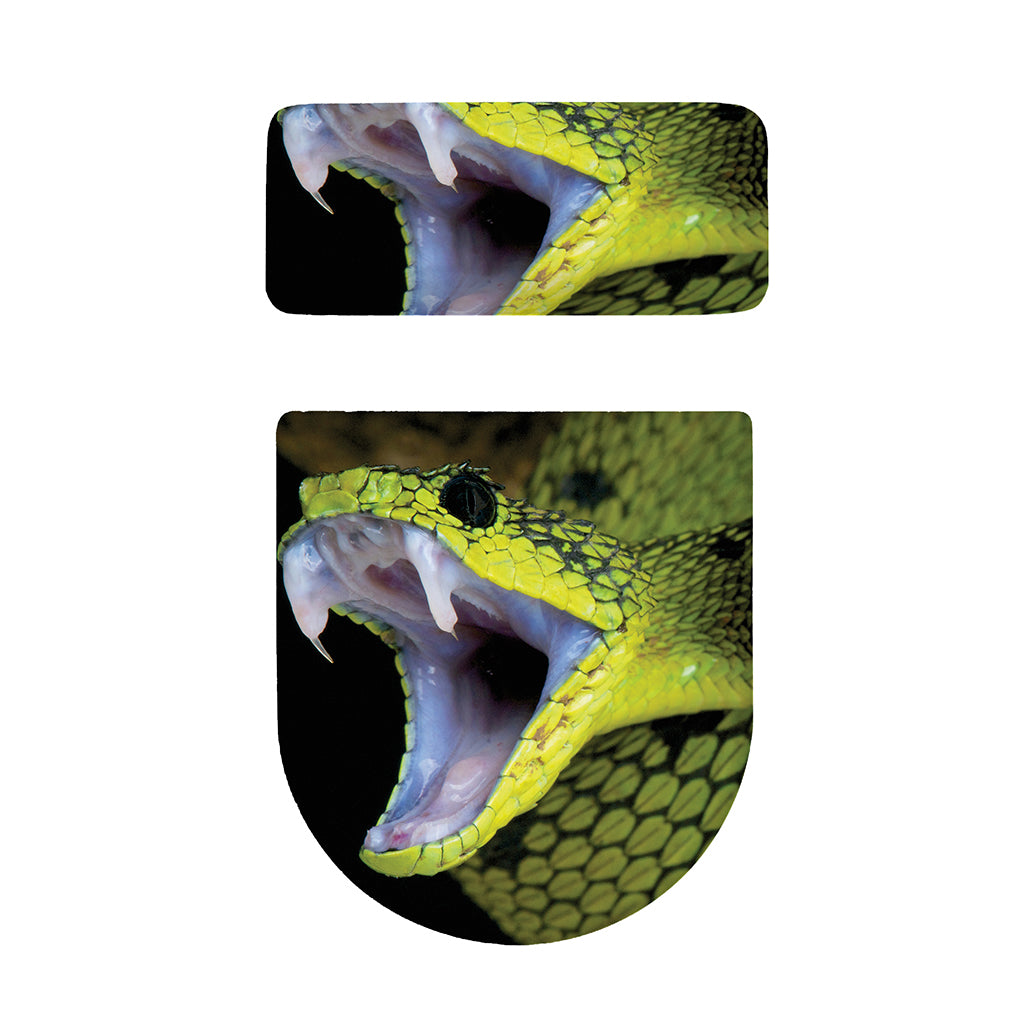 Atheris Nitschei Snake Print Toilet Lid And Tank Cover Set
