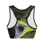 Atheris Nitschei Snake Print Women's Sports Bra