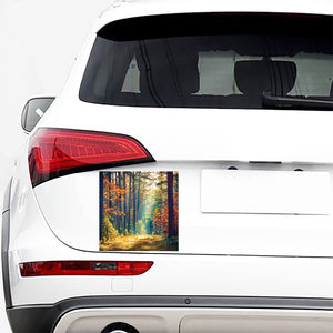 Autumn Forest Print Car Sticker