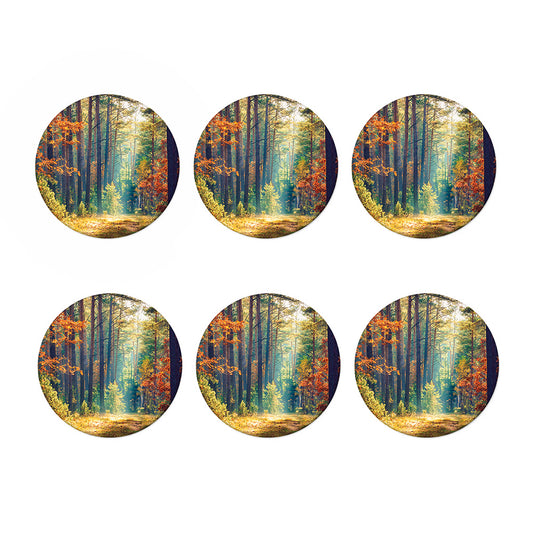 Autumn Forest Print Coaster Set