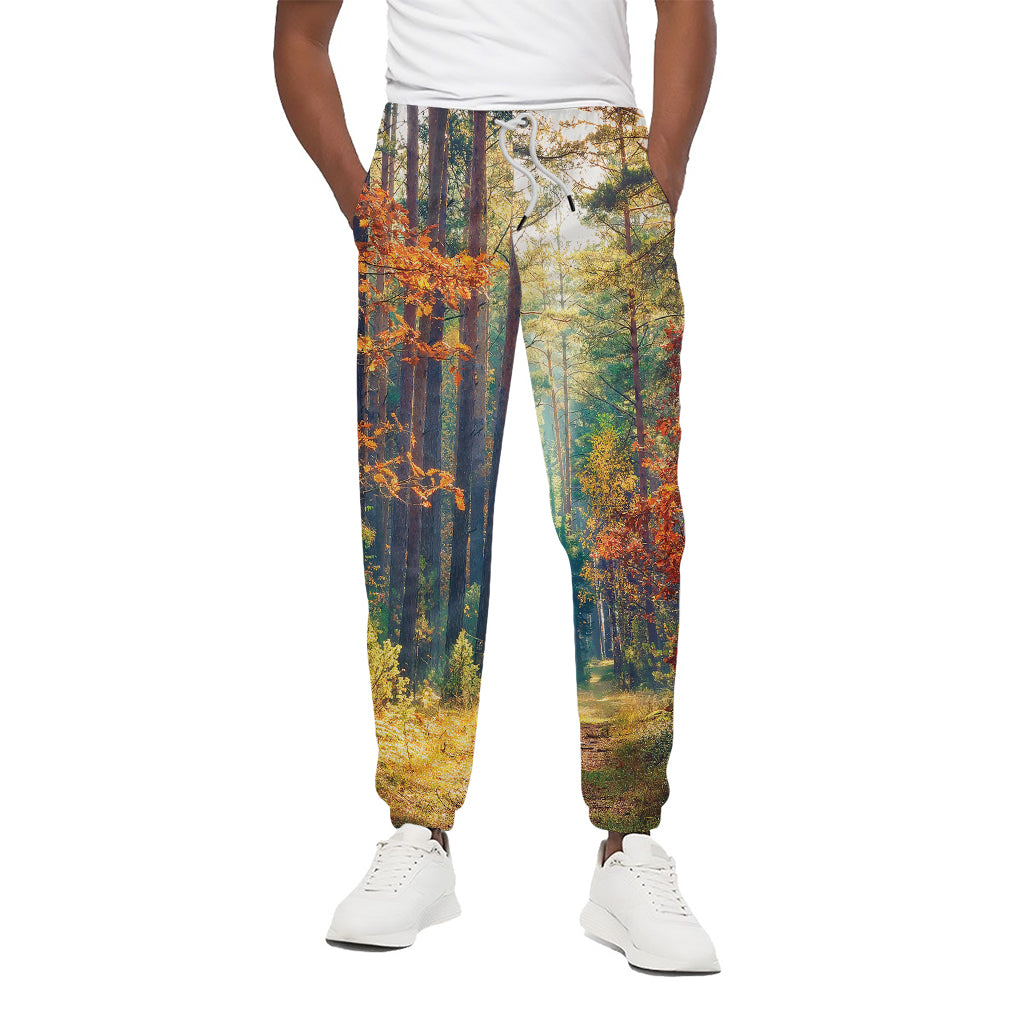 Autumn Forest Print Cotton Pants