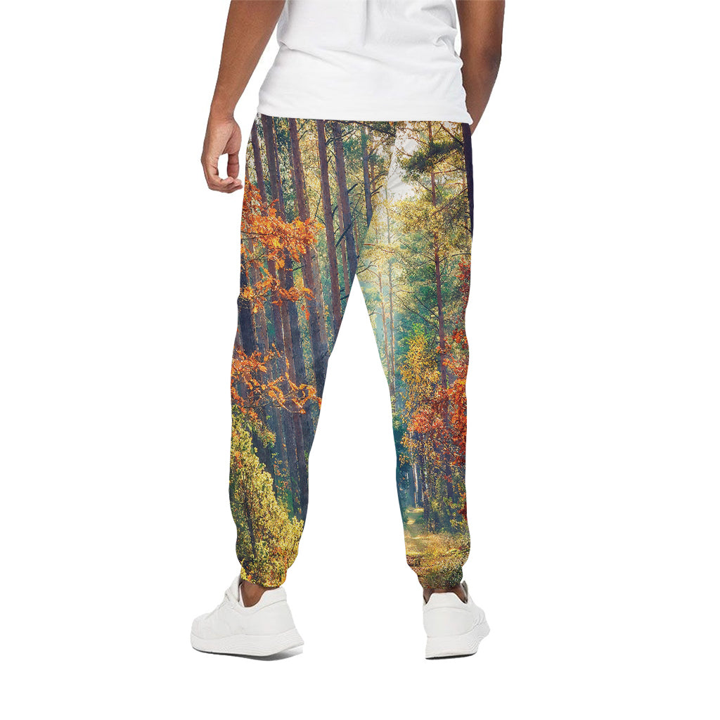 Autumn Forest Print Cotton Pants