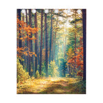 Autumn Forest Print Curtain