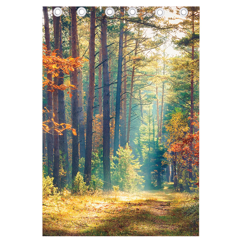 Autumn Forest Print Curtain