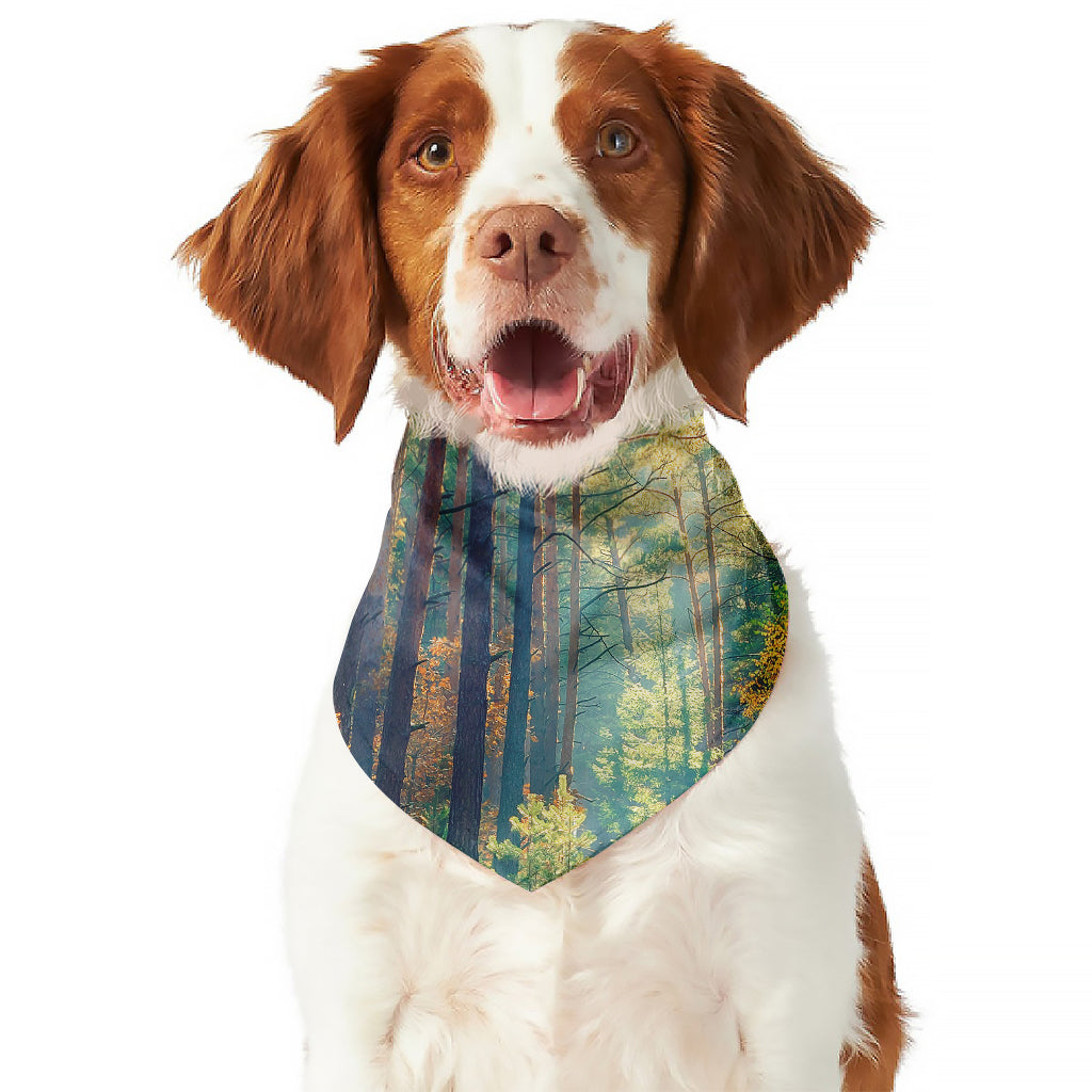 Autumn Forest Print Dog Bandana