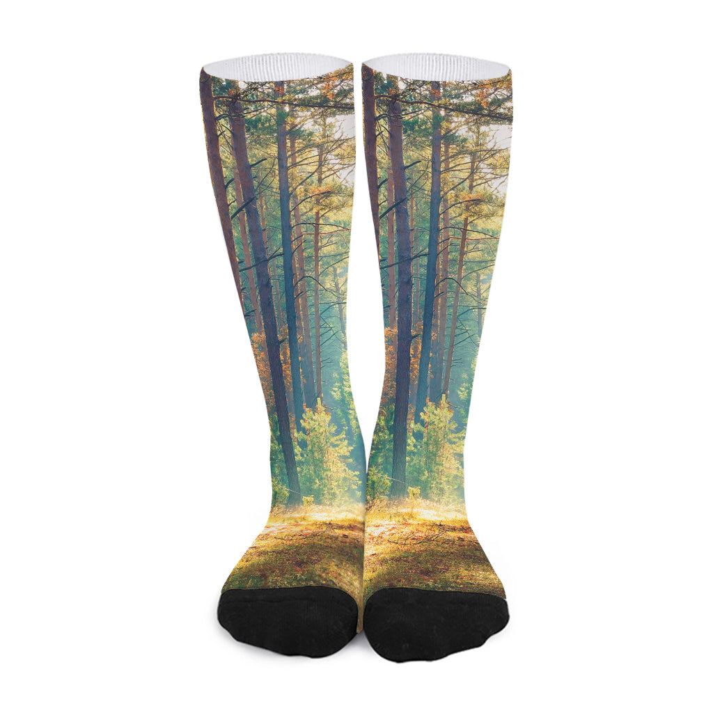 Autumn Forest Print Long Socks